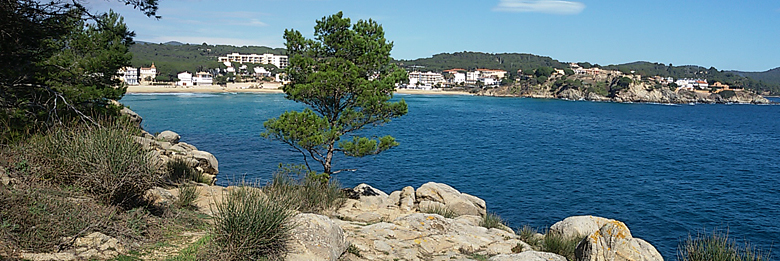 Platja de la Fosca